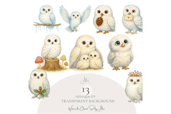Owl Clipart Set: Bring Your Designs to Life with Adorable Winter-Themed Art
